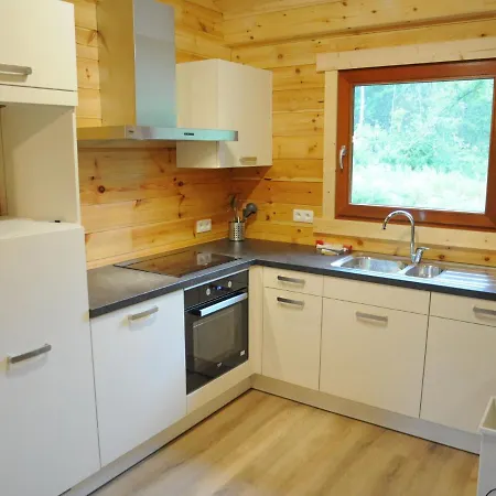 Modern Near Forest *