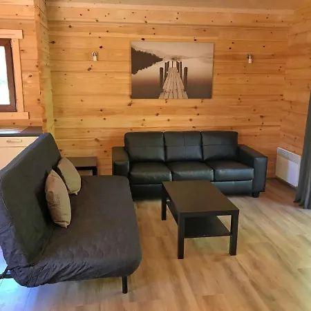 Modern Near Forest