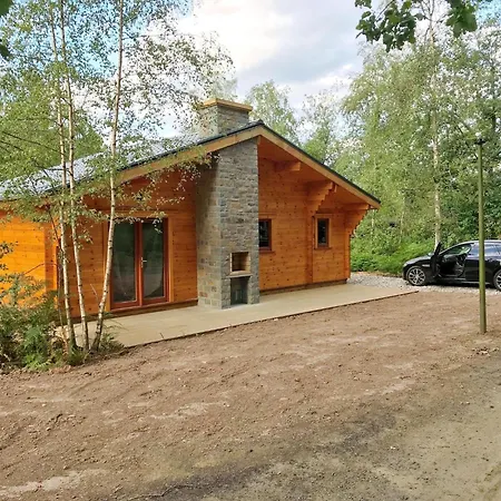 Modern Near Forest *