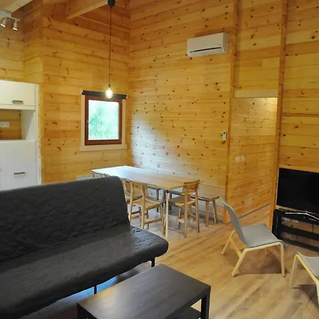 Modern Near Forest